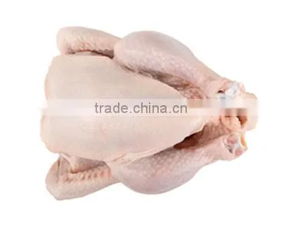 HALAL GRADE A FOR SALE AND NON HALAL FROZENCHICKEN BREAST FILLET FROZEN CHICKEN BREAST photo-6
