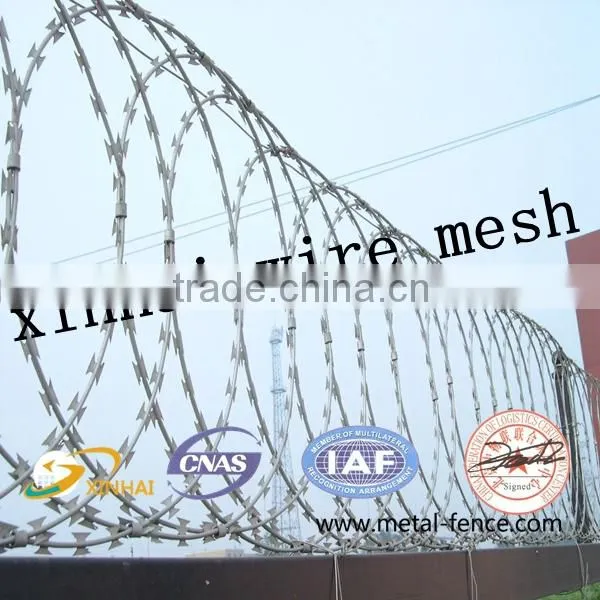 Brand New Mesh 500 Meters Barbed Wire For Sale With High Quality Low Price photo-3