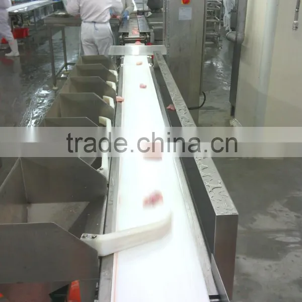 Automatic Stainless Steel Check Weigher, Weight Checking and Sorting Machine, Check Scale for Packaging System photo-2