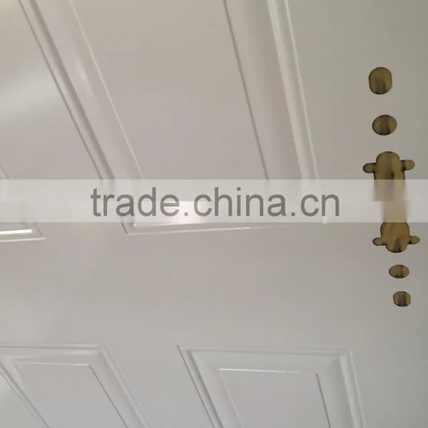 Modern Style American Building Supply Steel Panel Door for House photo-5