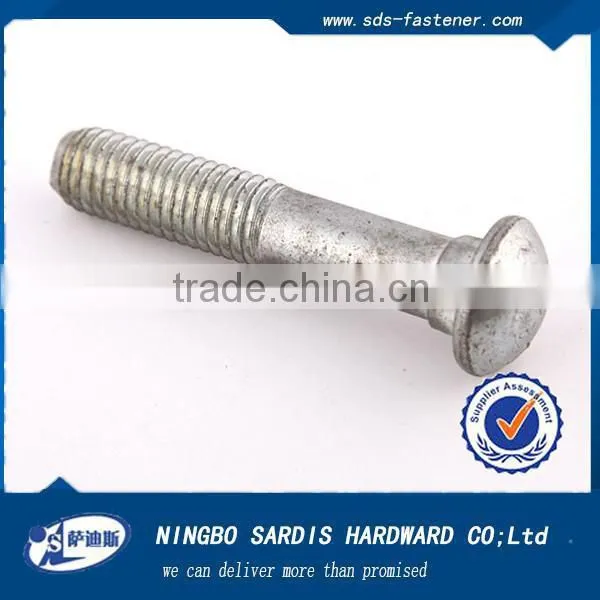 Stainless Steel Round Head Bolts photo-4