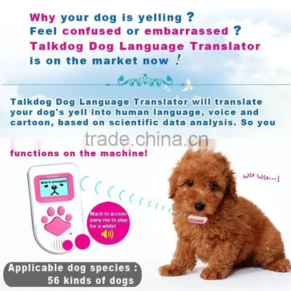 Translating Dogs Barking And Body Language