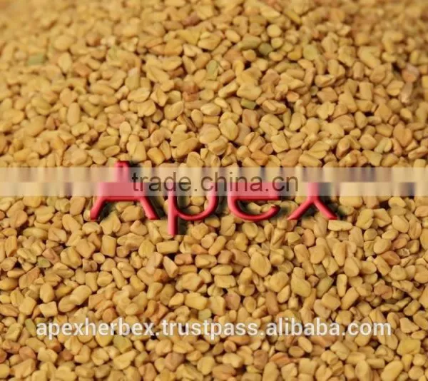 Fenugreek Seeds photo-3