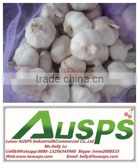 First Grade Fresh Pure White Garlic photo-6