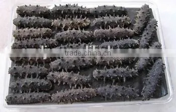 Liquid Nitrogen Fast Freeze Machine for Freezing Sea Cucumber photo-2