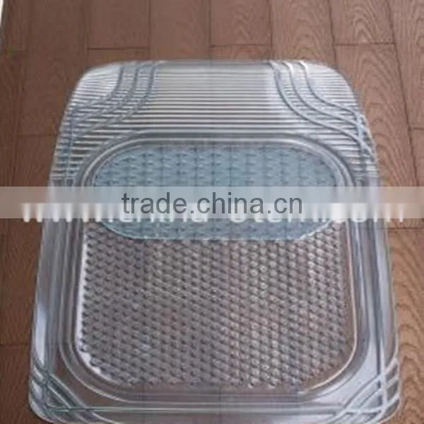 TPE Car Carpet