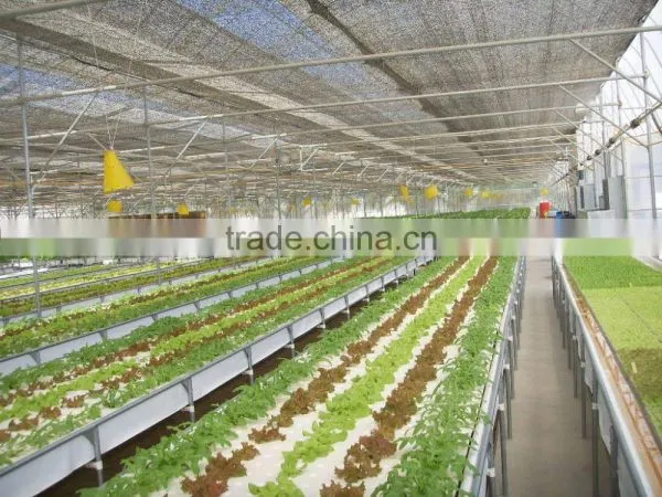 Commercial Greenhouse for Agriculture photo-4