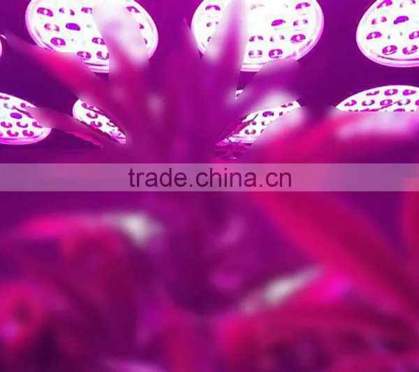 Gehl X-Grow New Design Light Grow Led For Indoor Plant photo-5
