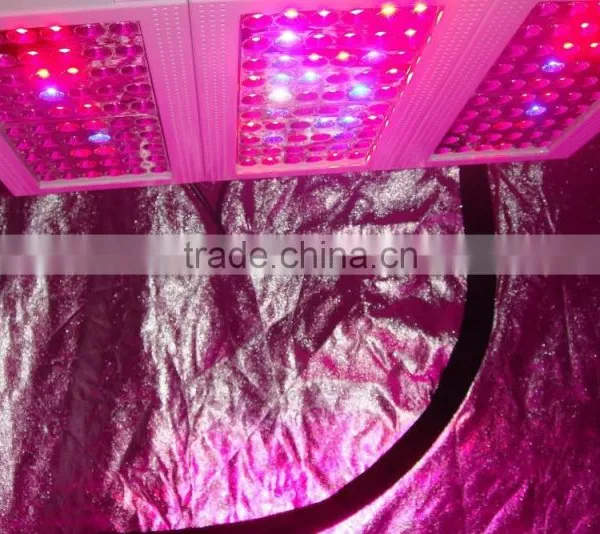 Plant Growing Diasy Chain Led Light High Lumen 300w Led Grow Light photo-6