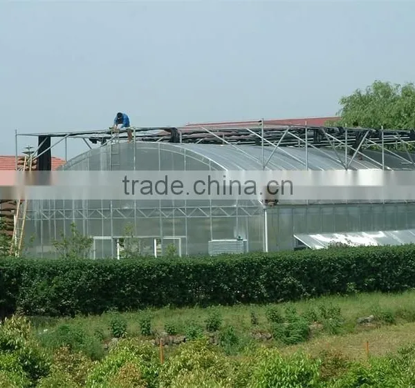 China Supplier Tomato Plastic High Tunnel Greenhouse photo-4