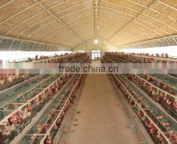 Tunnel Greenhouse for Agriculture photo-3