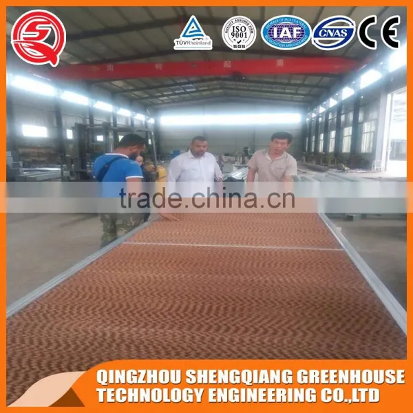 China Large Venlo Glass Greenhouse for Planting Flowers photo-5