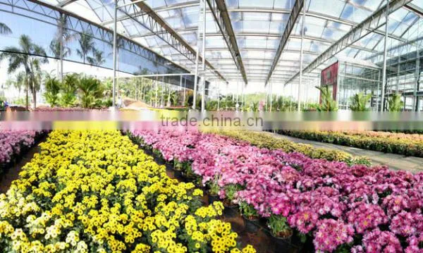 Glass Greenhouse-1 photo-5
