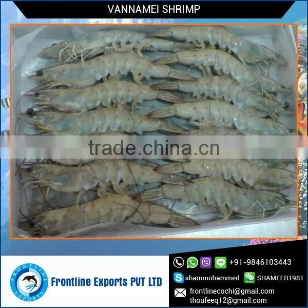 Sea Frozen Raw White Vannamei Shrimp Headless at Wholesale Price photo-2