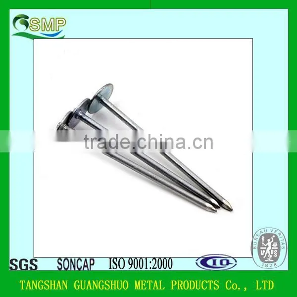 Umbrella Head Twist/Screw/smooth Shank Roofing Nails With Washer photo-2
