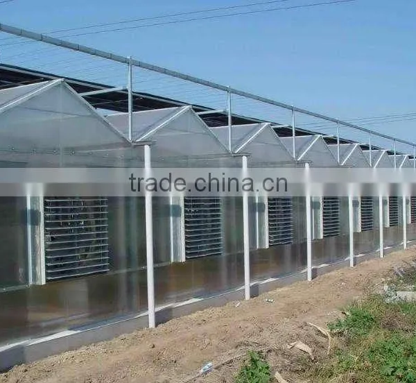 Polycarbonate PC Sheet Multi-span Greenhouse