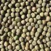 Dun Peas