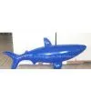 Inflatable Fish