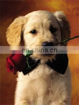 Fashion Promotion PET/PP Advertising Poster With 3d Effect photo-3
