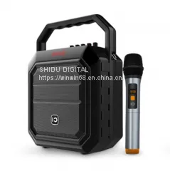 2018 New Arrival 30w Portable Party PA Speaker With FM Radio and Flashing DJ Lights photo-2