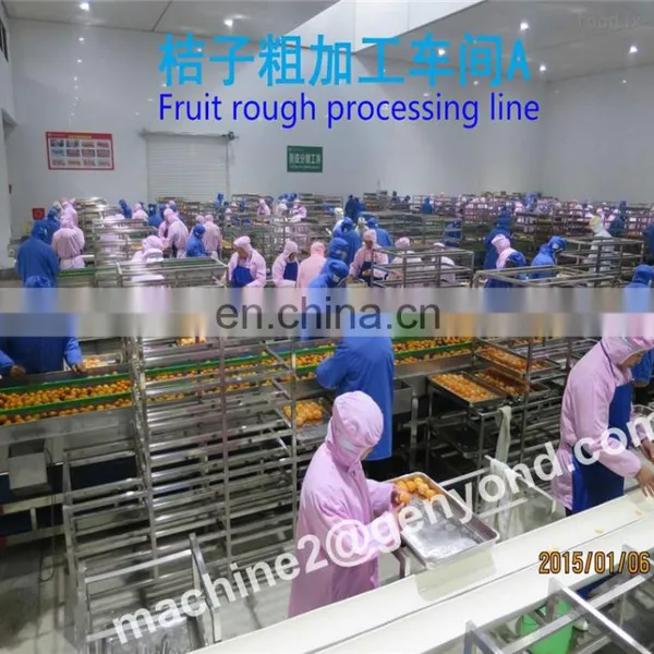 Factory Price Fruit Process Line Vegetables Production Line Used in Professional Salad Production Lines photo-5