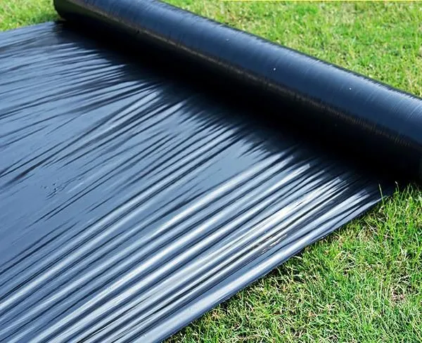 Mulch film Black Mulch film Perforated mulching film