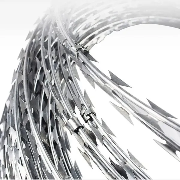 Stainless Steel 304 Safety Fence Wire Suitable for Prisons/Walls/Protection Razor Barbed Wire Coil photo-2