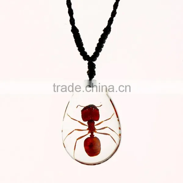 2016 Hot-selling Souvenir Gifts Resin Necklace With Real Insect photo-3