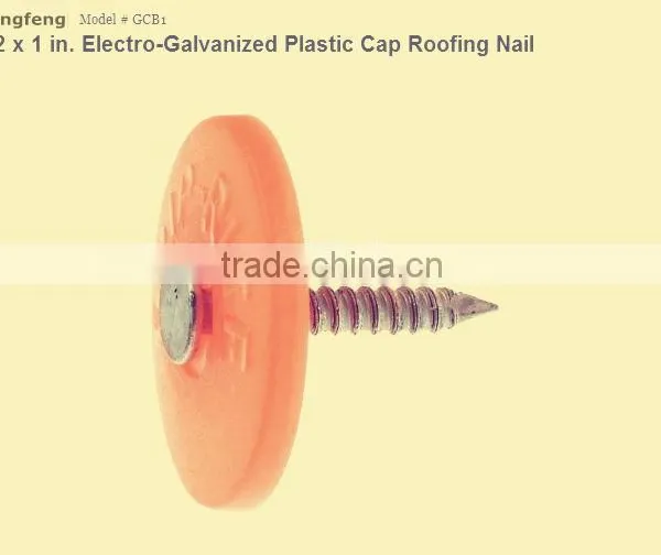 Colorful Cap Nails/Plastic Cap Nails Factory photo-2