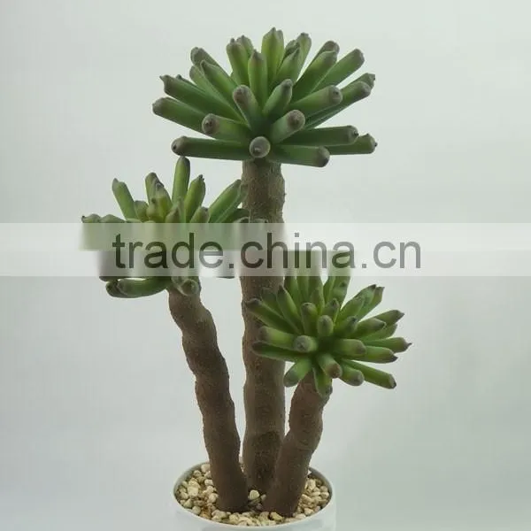 Special Designed Cactus Plant With Melamine Pot