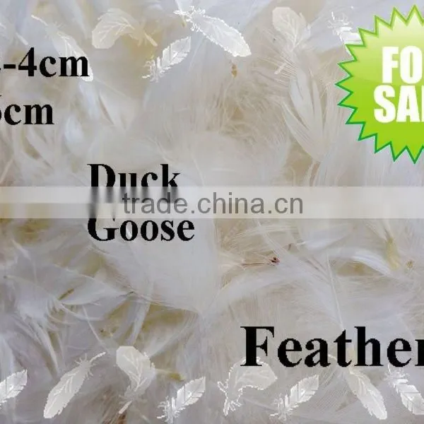 Duck Feather Material and Washed Pattern Washed White Duck Down Feather