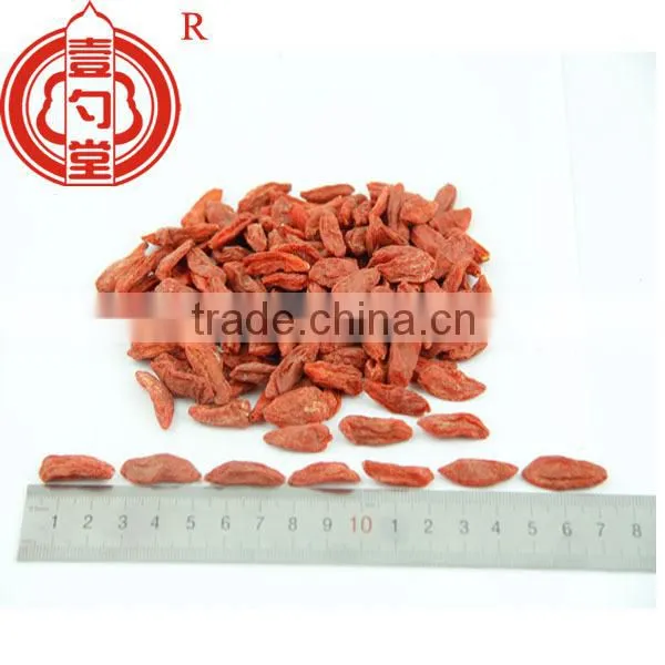 Berry Goji Bulk Goji Berries Wholesale Goji Berry photo-5