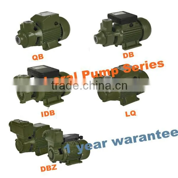 0.5 hp Water Pump Mini Water Pump Water Pump 1hp for Sale