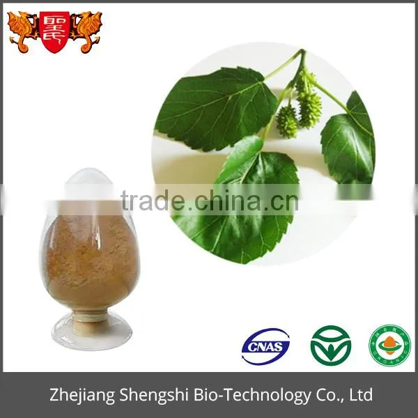 Best Price Food Grade Product Green Organic Mulberry Leaf Extract Powder photo-2