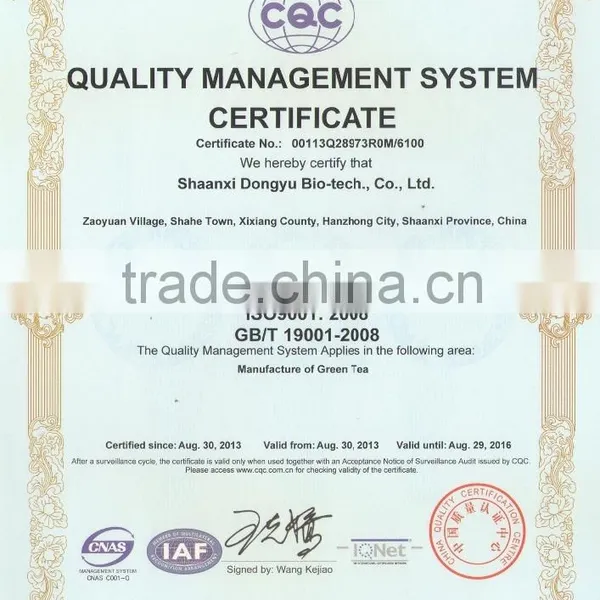 GMP Factory Supplys Green Tea Powder EGCG Antioxidant Products Instant Powder photo-4