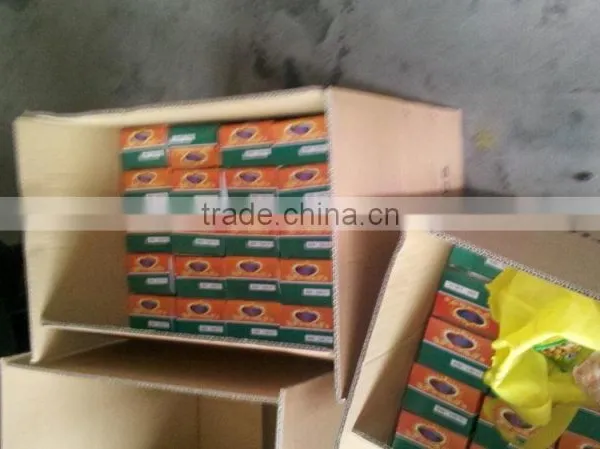 Quality Tube Similar With Elephant Tube for 300-18 Motorcycle Inner Tube photo-3