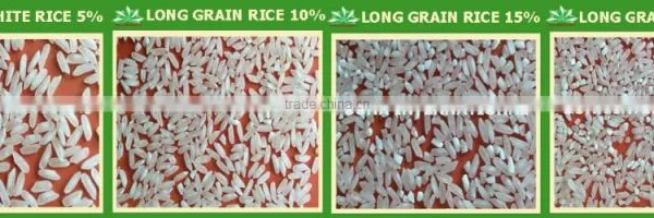 JAPONICA/ROUND WHITE RICE 5% BROKEN - BEST SELLING - VIETNAM RICE MILL photo-2