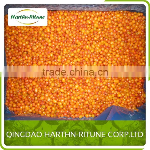 IQF Sea Buckthorn Fresh Frozen photo-2