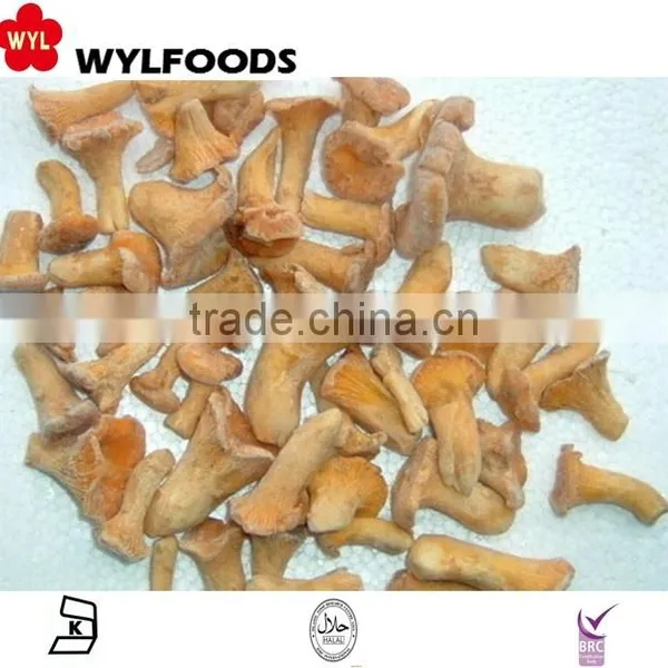 2015 New Product China Mushroom Frozen Chanterelles Mushroom photo-5