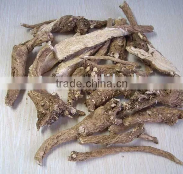 Selected High Quality China Radix Gypsophila 50kg/gunny Bag