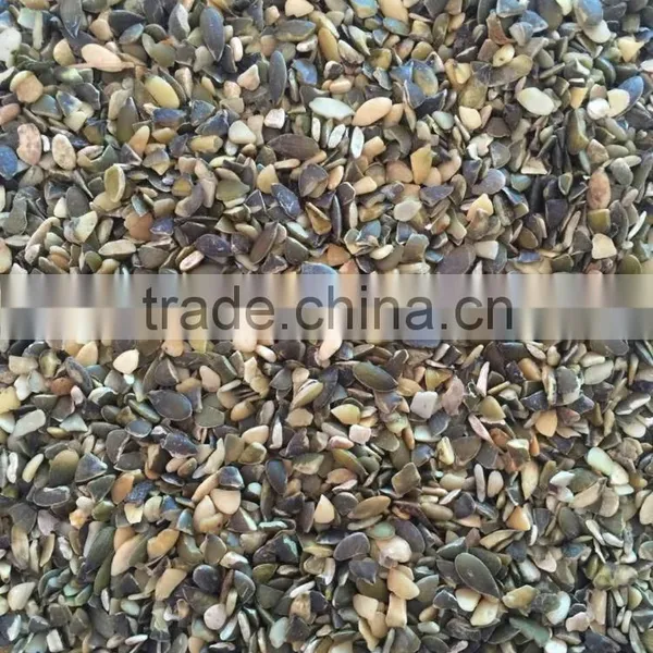 Broken Pumpkin Seeds Price GWS Oil Grade photo-2