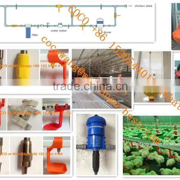 Broiler Poultry Farm Equipment Automatic Silo/Feeding/Drinking/Fan/Cooling Pad/Heater/Controller System for Farming Chickens photo-3
