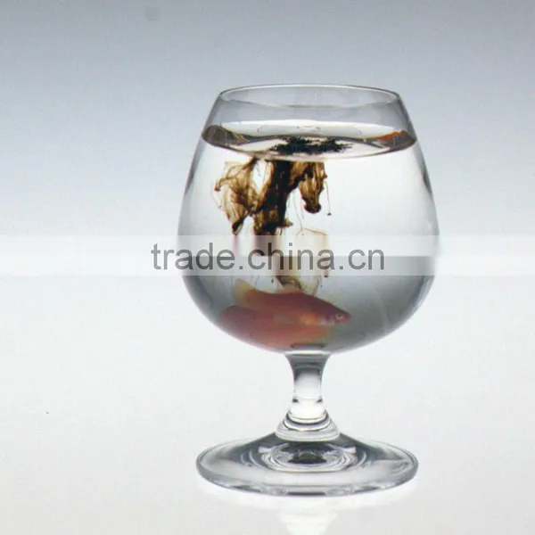 Agrolink Soluble Ascophyllum Nodosum Fetilizers Seaweed Extract Nori Fertilizer High Alginic Acid photo-3