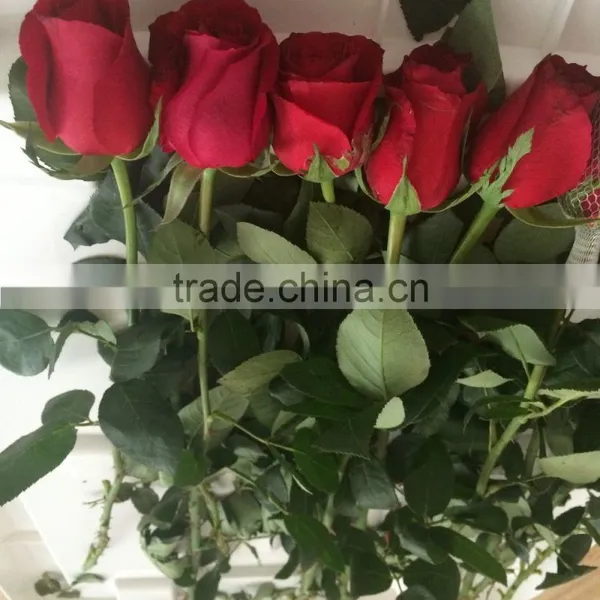 Wedding Flowers Fresh Cut Roses Fresh Flower Hand Bouquet Decoration Fresh Flowers photo-2