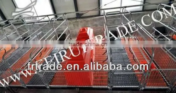 Pig Farming Equipment
