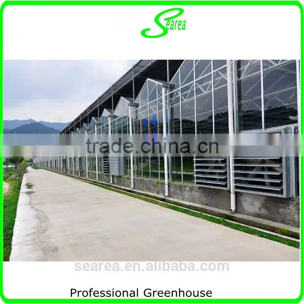 High Quality Giant Greenhouse,flower,plant House/large Inflatable Membrane Structures photo-3