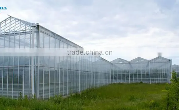 Agricultural Multi-Span Greenhouse(ISO9001:2008) photo-6
