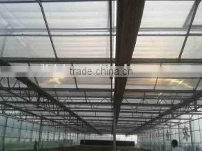 Factory Price Vegetables/Crops/Horticulture Used Poly Carbonate Sheet Greenhouse photo-5