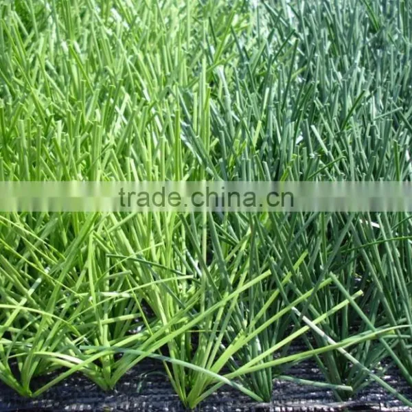 High Simulation Cheap Football Artificial Turf Football Field Synthetic Grass Carpet Synthetic Grass for Soccer Fields photo-3