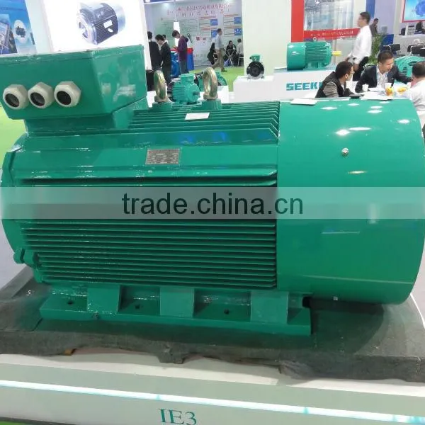 Cast Iron IE1 Three Phase Electric Motor photo-3